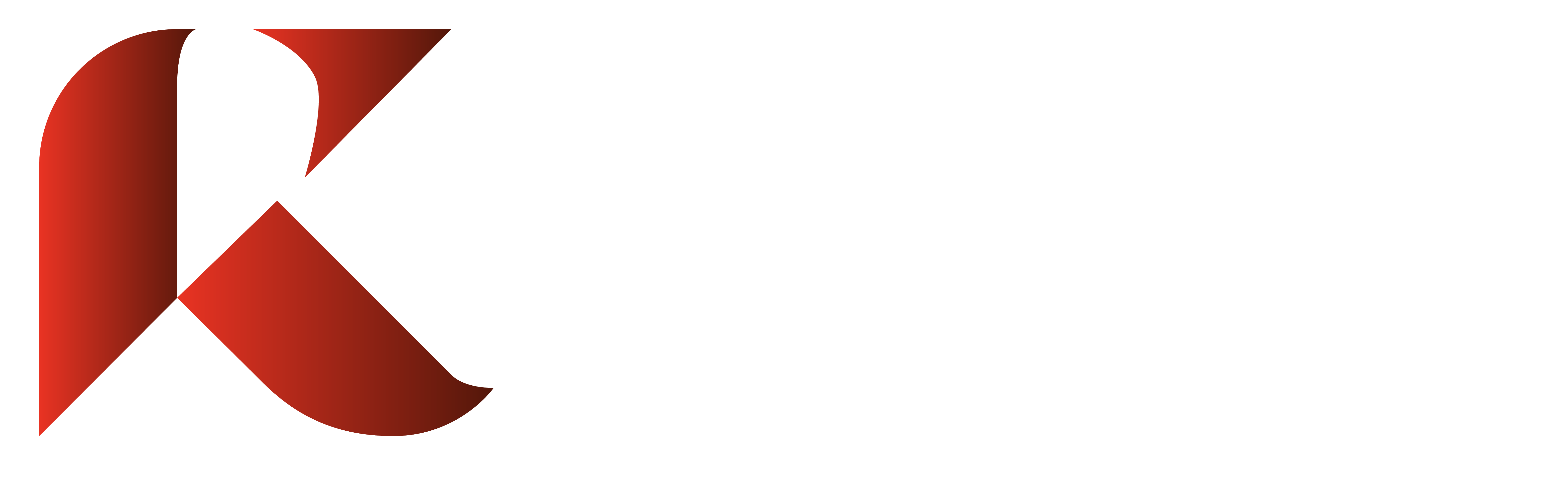 Reyes Premier Limousine